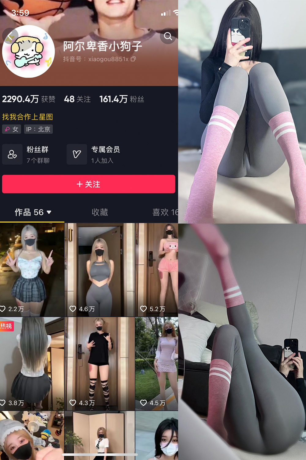 抖音 阿尔卑香小狗子 微密圈 NO.038期 【10P】