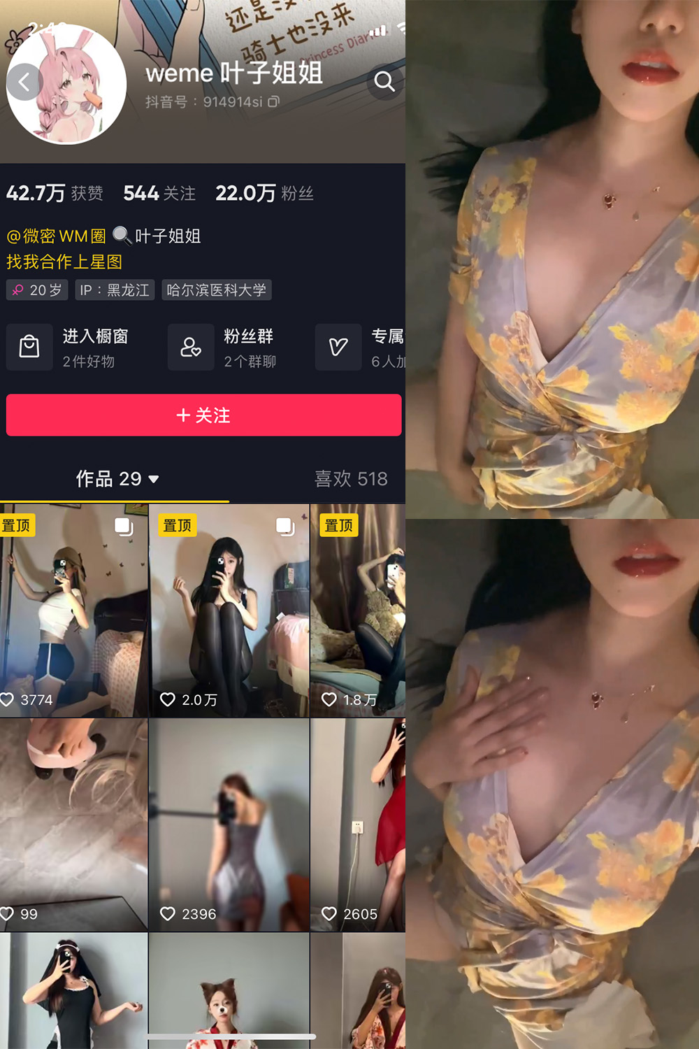 抖音 叶子姐姐 微密圈 NO.016期 【2V】