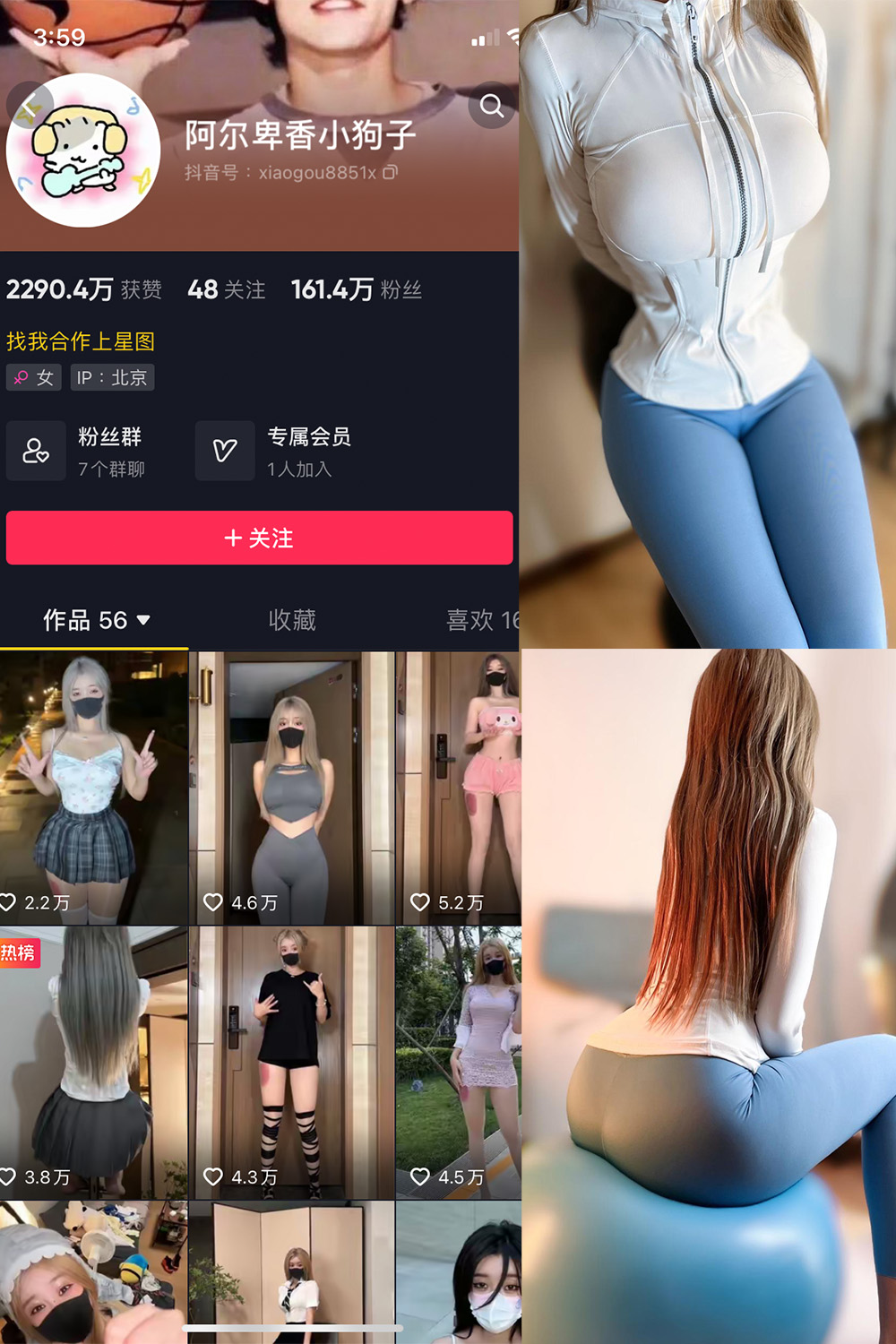 抖音 阿尔卑香小狗子 微密圈 NO.029期 【30P】