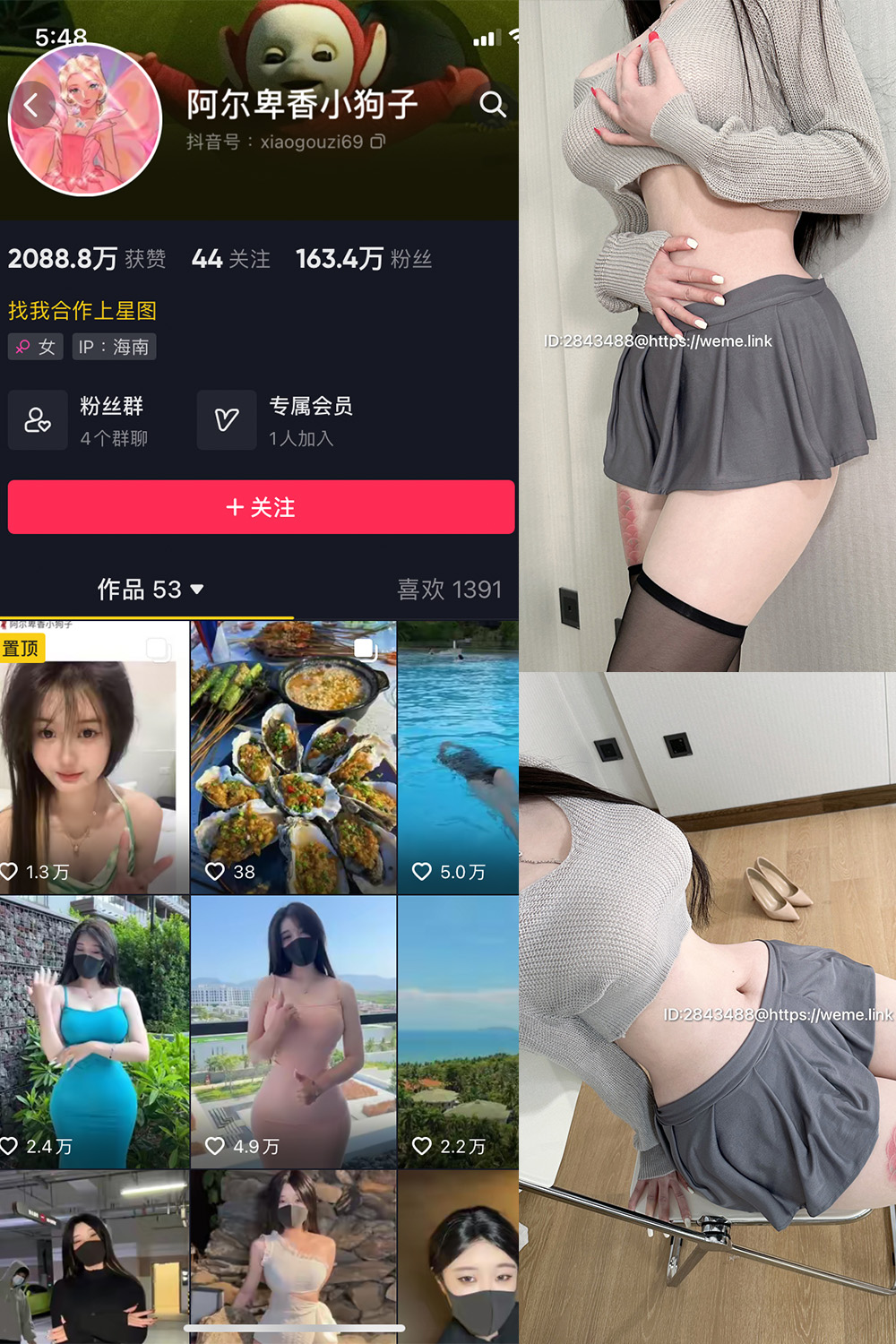 抖音 阿尔卑香小狗子 微密圈 NO.001期 【23P1V】