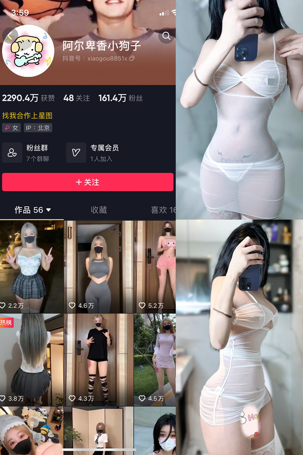 抖音 阿尔卑香小狗子 微密圈 NO.028期 【33P】