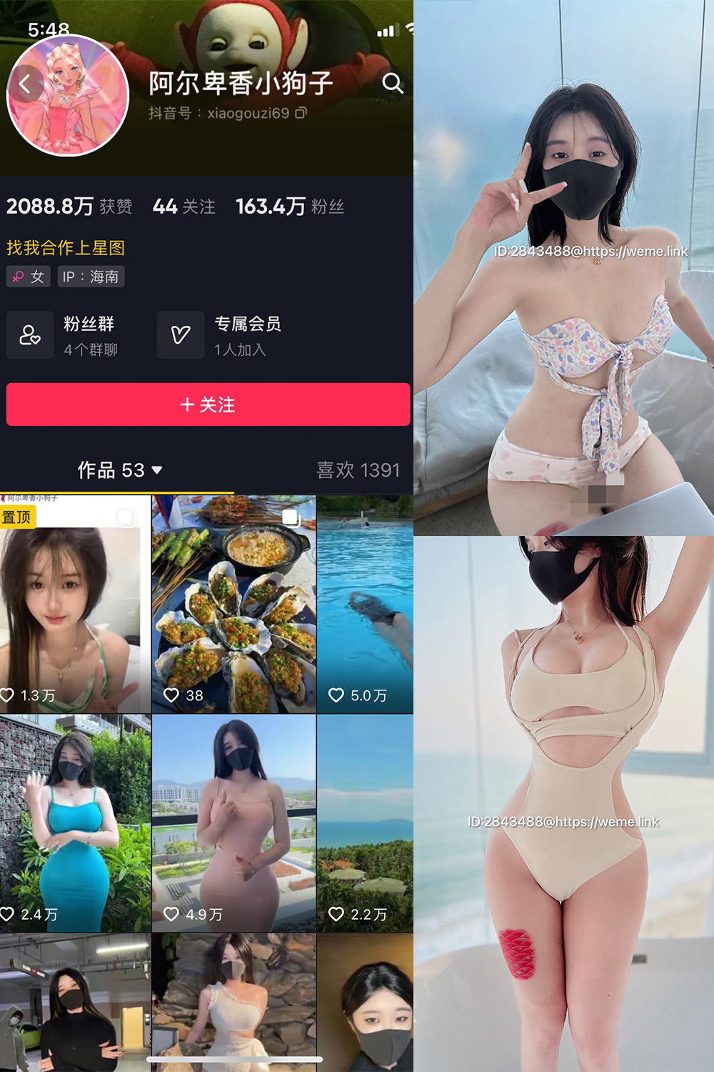 抖音 阿尔卑香小狗子 微密圈 NO.003期 【39P3V】