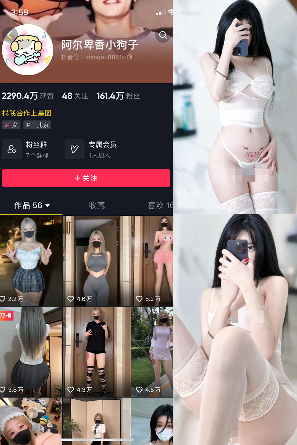 抖音 阿尔卑香小狗子 微密圈 NO.043期 【18P1V】