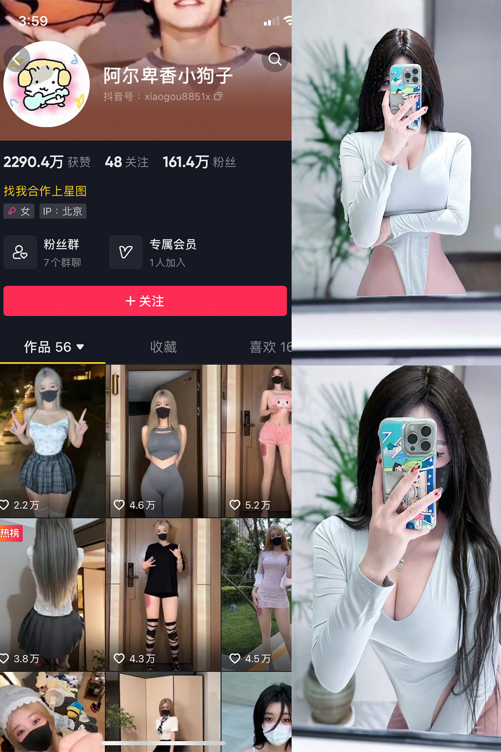 抖音 阿尔卑香小狗子 微密圈 NO.041期 【10P2V】